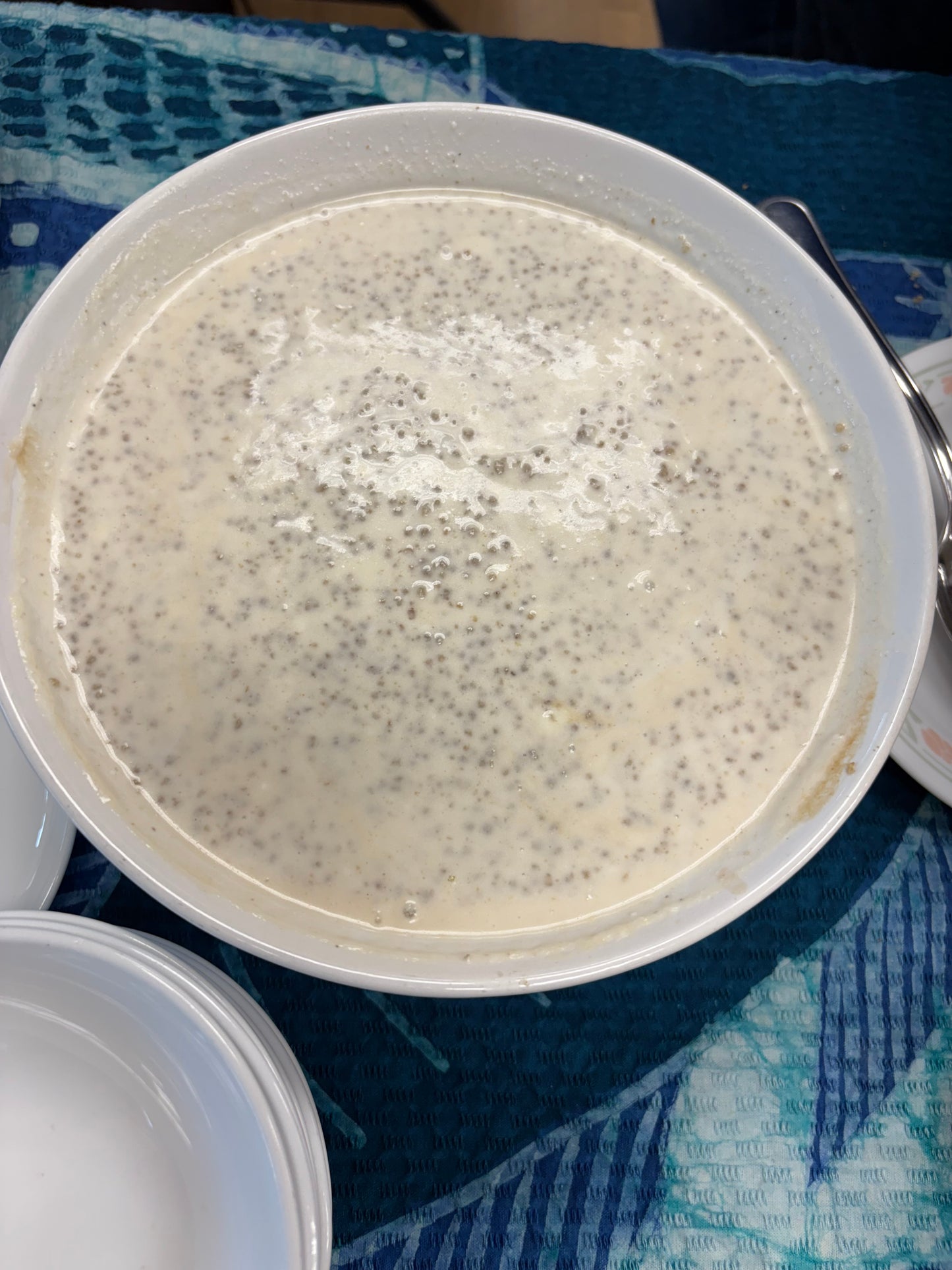 Thiakry/Degue (millet couscous & yogurt) w/ Extras (nuts, raisins, coconut) VG, NG